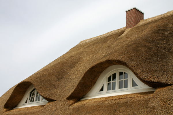 Thatched House 2