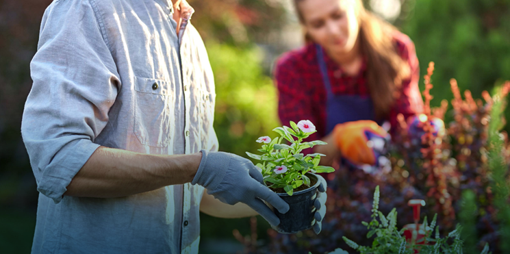 Spring Guide 745 X 360